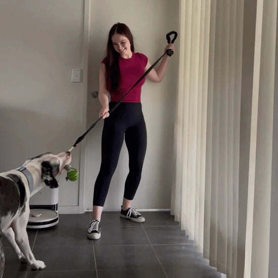 Selvoria™ | Bungee pull toy