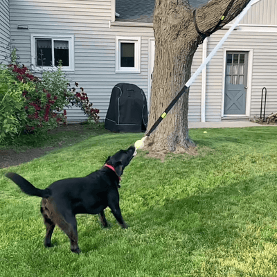 Selvoria™ | Bungee pull toy