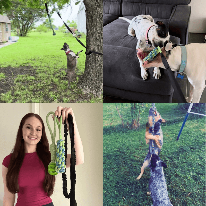 Selvoria™ | Bungee pull toy