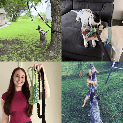 Selvoria™ | Bungee pull toy